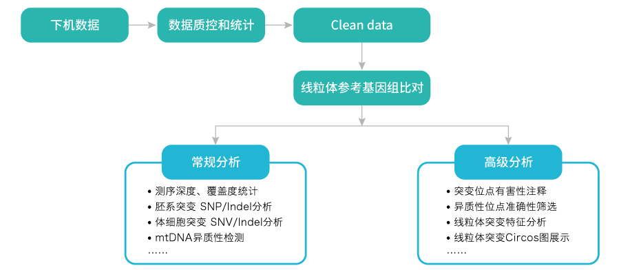 线粒体突变分析-数据分析-万象城AWC基因