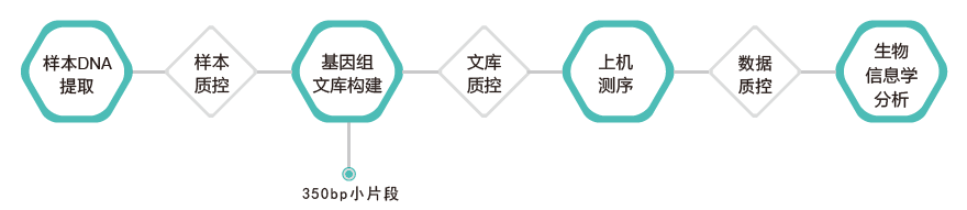 全基因组重测序-技术路线-万象城AWC基因