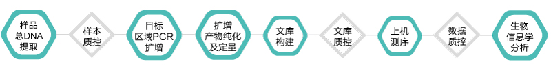 16S 18S ITS扩增子-技术路线-万象城AWC基因