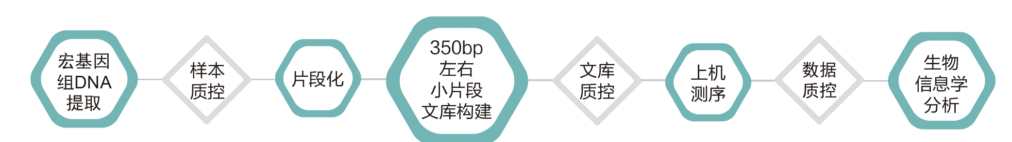 宏基因组测序-技术路线-万象城AWC基因