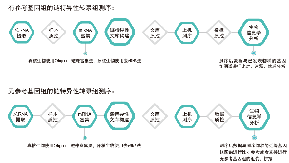 转录组测序-技术路线-万象城AWC基因