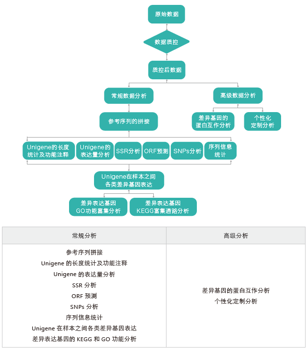 转录组测序-生信分析流程（无参）-万象城AWC基因