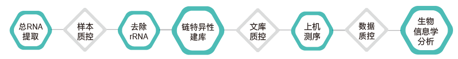 长链非编码RNA（lncRNA）测序-技术路线-万象城AWC基因