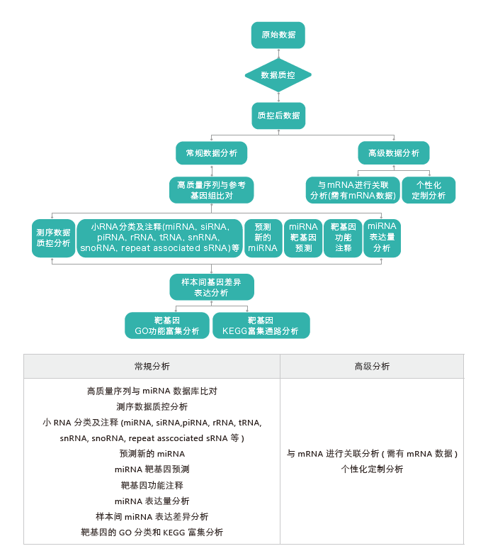 小RNA（small RNA）测序-生信分析流程-万象城AWC基因