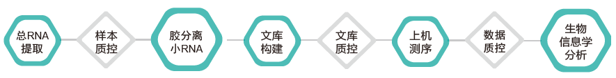 小RNA（small RNA）测序-技术路线-万象城AWC基因