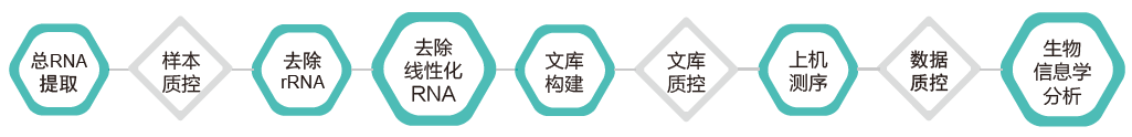 环状RNA（circRNA）测序-技术路线-万象城AWC基因