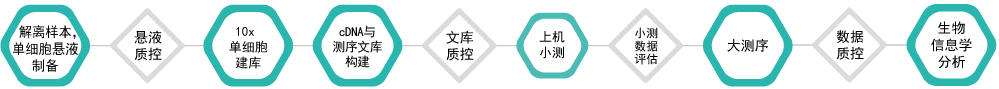 单细胞转录组测序-技术流程-万象城AWC基因