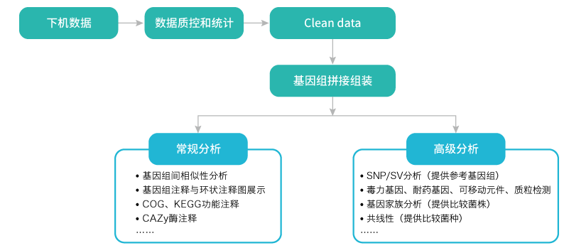 微生物基因组重测序-分析-万象城AWC基因