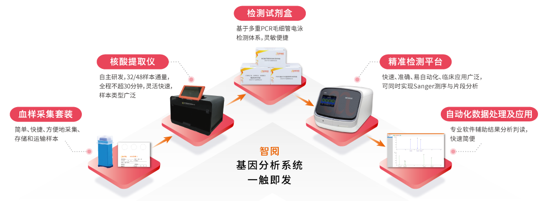 智阅基因分析系统-万象城AWC基因