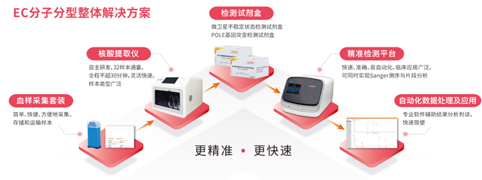 万象城AWC基因子宫内膜癌分子分型检测整体解决方案